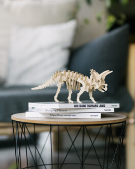 Homestory-Fotografie in Düsseldorf, Magdalena Gruber Fotodesignerin